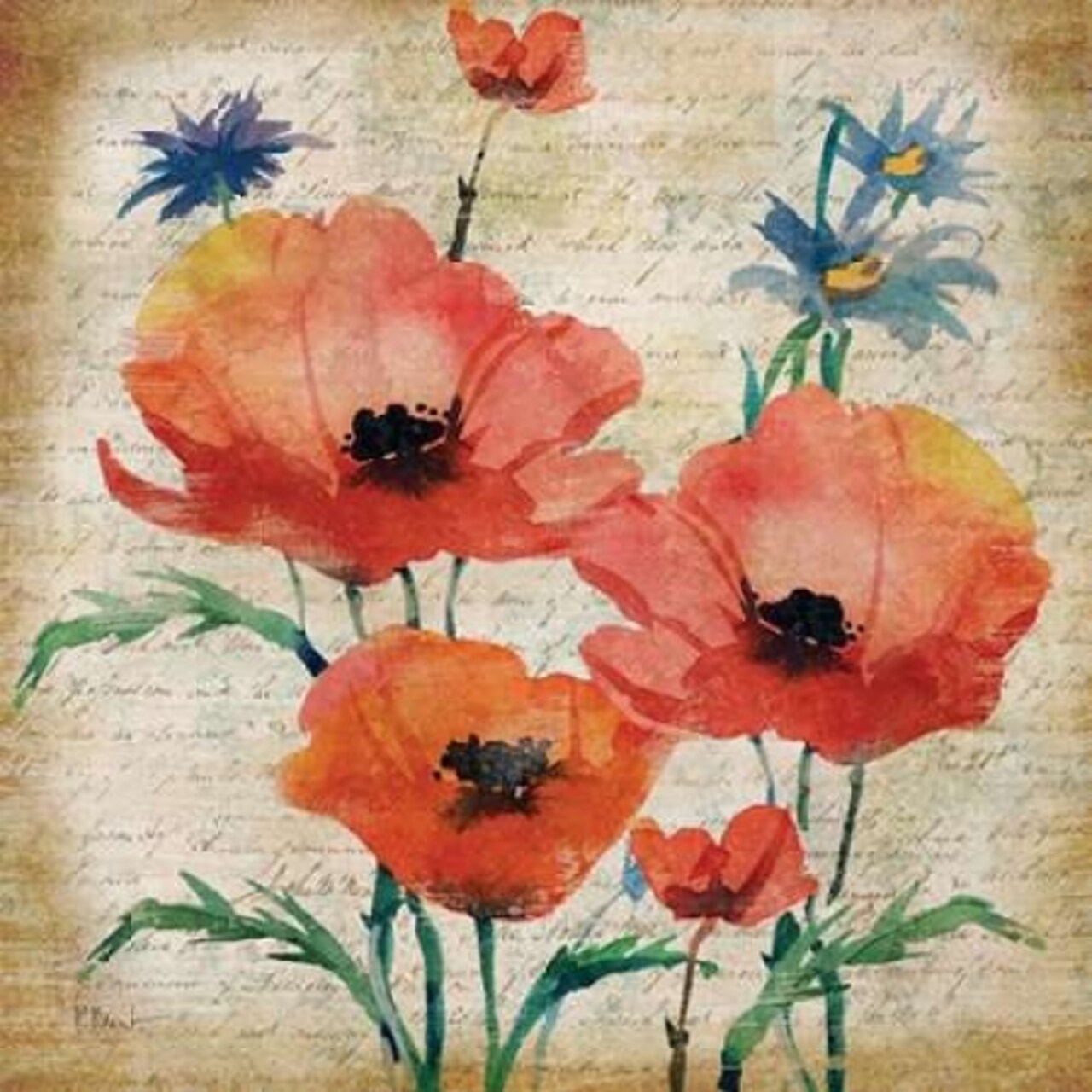 Poetic Garden I Poster Print by Paul Brent - Item # VARPDXBNT534